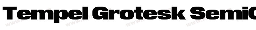 Tempel Grotesk SemiC字体转换